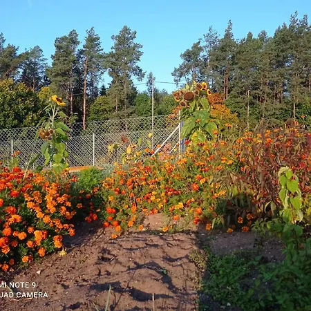 Dom Pod Srebrnym Zurawiem Wydminy