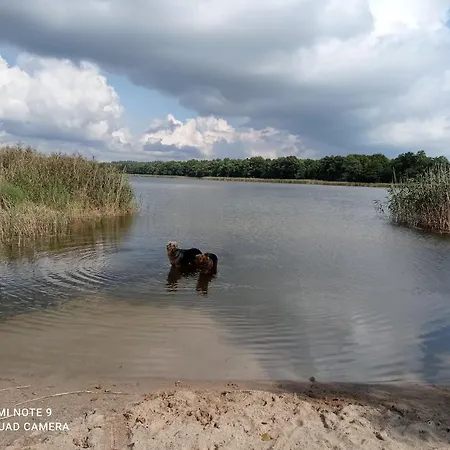 Dom Pod Srebrnym Zurawiem Ubytování v soukromí Wydminy