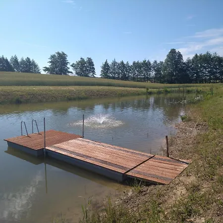 Dom Pod Srebrnym Zurawiem * فودميني