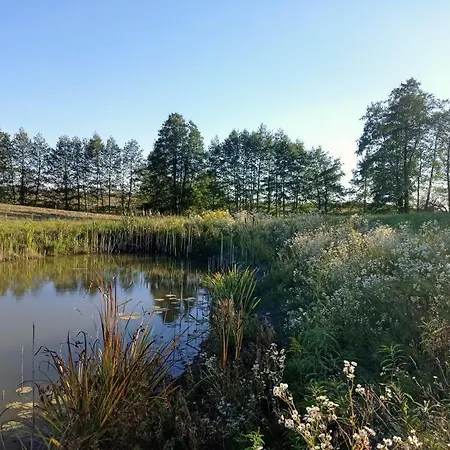 Dom Pod Srebrnym Zurawiem Ubytování v soukromí