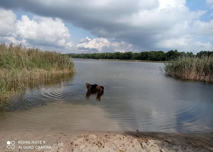 Dom Pod Srebrnym Zurawiem Homestay Wydminy